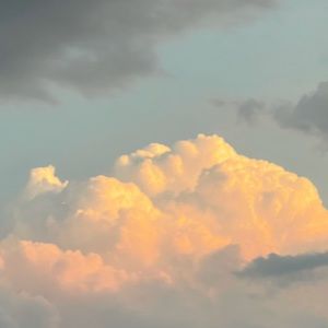 Meet your Posher, Kierra